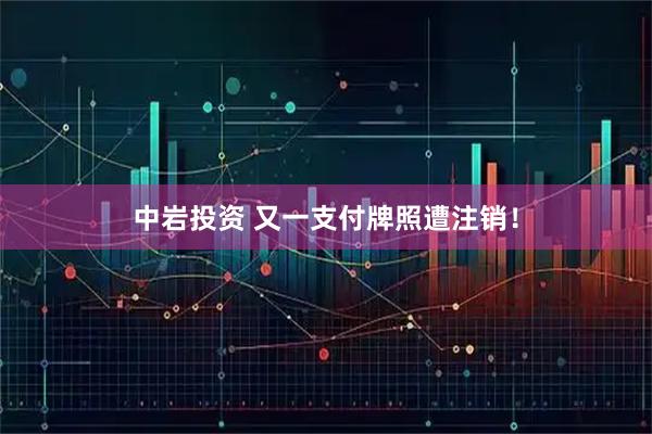 中岩投资 又一支付牌照遭注销！