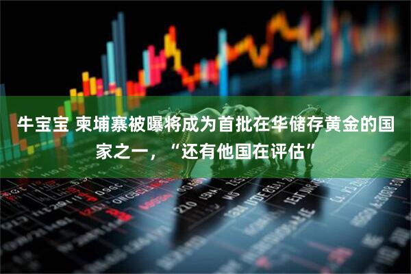 牛宝宝 柬埔寨被曝将成为首批在华储存黄金的国家之一,“还有他国在评估”